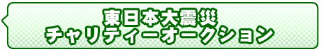 チャリティーオークション