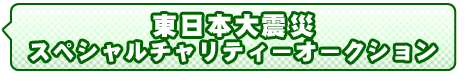 チャリティーオークション