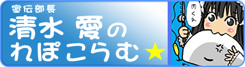 コラム